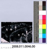 鄧雨賢相關照片37：採茶藏品圖，第2張