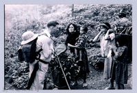 鄧雨賢相關照片97：田野調查藏品圖，第1張