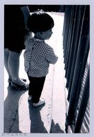 鄧雨賢相關照片147：眺望的幼童藏品圖，第1張