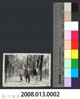 彭縣長出巡各市鎮：新埔鎮(一)義民庙後山藏品圖，第3張