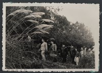 彭縣長出巡各市鎮：尖石鄉(二)往中學-2藏品圖，第1張