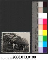 彭縣長出巡各市鎮：尖石鄉(二)往中學-2藏品圖，第3張