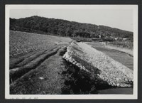 鳳山溪大眉堤防復原工程(堤防復原400M)-施工後藏品圖，第1張