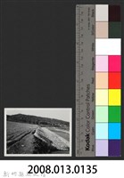 鳳山溪大眉堤防復原工程(堤防復原400M)-施工後藏品圖，第3張