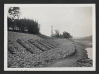 鳳山溪番子坡護岸復原工程(堤防復原180M)-施工後藏品圖，第1張