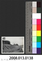 鳳山溪番子坡護岸復原工程(堤防復原180M)-施工後藏品圖，第3張