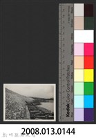 鳳山溪樟樹叢堤防復原工程(堤防復原428M丁埧復原3座)-施工後2藏品圖，第3張