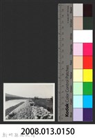 鳳山溪新埔堤防復原工程(堤防復原185M)-施工後2藏品圖，第3張