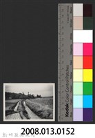 鳳山溪六股堤防復原工程(堤防復原300M)-施工中1藏品圖，第3張