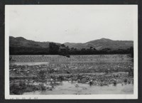 鳳山溪雲南堤防復原工程(堤防復原60M)-施工前藏品圖，第1張