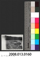 鳳山溪石岡子堤防復原工程(堤防復原389M丁埧復原2座)-施工前1藏品圖，第3張