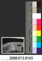 鳳山溪石岡子堤防復原工程(堤防復原389M丁埧復原2座)-施工後2藏品圖，第3張