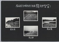 鳳山溪茅子埔堤防復原工程(堤防復原232M丁埧復原2座)-施工中2藏品圖，第2張