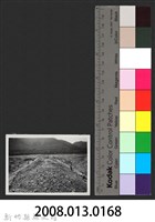 鳳山溪茅子埔堤防復原工程(堤防復原232M丁埧復原2座)-施工中2藏品圖，第3張