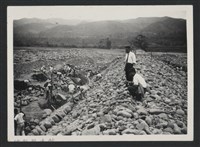 鳳山溪渡三坡堤防復原工程(堤防復原250M)-施工中藏品圖，第1張