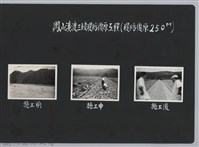 鳳山溪渡三坡堤防復原工程(堤防復原250M)-施工中藏品圖，第2張
