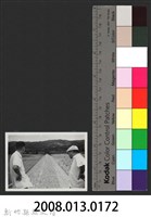 鳳山溪渡三坡堤防復原工程(堤防復原250M)-施工後藏品圖，第3張