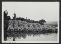 鳳山溪南山丁埧復原工程(丁埧復原3座)-施工後1藏品圖，第1張