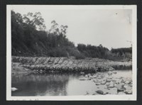 鳳山溪南山丁埧復原工程(丁埧復原3座)-施工後2藏品圖，第1張