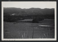 鳳山溪霄裡溪巨埔復原工程(堤防復原200M)-施工前藏品圖，第1張