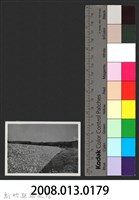 鳳山溪霄裡溪巨埔復原工程(堤防復原200M)-施工後1藏品圖，第3張