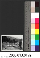 油羅溪尖石堤防復原工程(堤防復原100M)-施工中2藏品圖，第3張