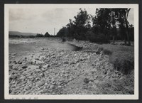 鳳山溪水尾堤防復原工程(堤防復原350M)-施工前2藏品圖，第1張