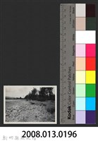 鳳山溪水尾堤防復原工程(堤防復原350M)-施工前2藏品圖，第3張