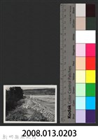 鳳山溪泰和堤防復原工程(堤防復原350M)-施工前2藏品圖，第3張