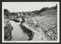 鳳山溪泰和堤防復原工程(堤防復原350M)-施工中1藏品圖，第1張