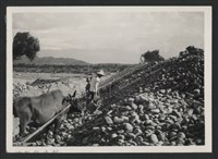 鳳山溪泰和堤防復原工程(堤防復原350M)-施工中2藏品圖，第1張