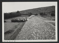 鳳山溪泰和堤防復原工程(堤防復原350M)-施工後1藏品圖，第1張