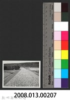 鳳山溪泰和堤防復原工程(堤防復原350M)-施工後2藏品圖，第3張