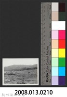 鳳山溪上南和堤防復原工程(堤防復原350M)-施工後藏品圖，第3張