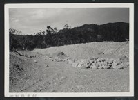 鳳山溪鳳來一二號堤防復原工程(堤防復原465M)-施工前1藏品圖，第1張