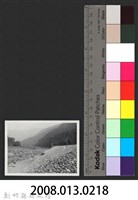 油羅溪豐田堤防復原工程(堤防復原250M)-施工後2藏品圖，第3張