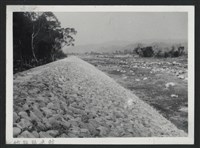 油羅溪頭份林堤防復原工程(堤防復原175M)-施工後-2藏品圖，第1張