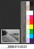 油羅溪頭份林堤防復原工程(堤防復原175M)-施工後-2藏品圖，第3張