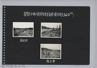 霄裡溪巨埔二號堤防復原工程(堤防復原320M)-施工中2藏品圖，第1張