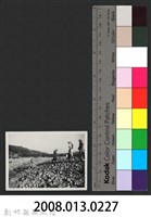 霄裡溪巨埔二號堤防復原工程(堤防復原320M)-施工中2藏品圖，第3張