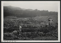 峨眉溪峨眉堤防復原工程(堤防復原300M)-施工中1藏品圖，第1張