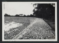 新庒子溪中崙堤防復原工程(堤防復原246M)-施工後2藏品圖，第1張