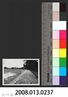 新庒子溪中崙堤防復原工程(堤防復原246M)-施工後2藏品圖，第3張