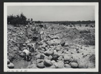 新庒子溪崁頭堤防復原工程(堤防復原301M)-施工中藏品圖，第1張