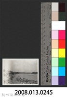 鳳山溪樟樹叢堤防加高延長復原工程(堤防復原350M)-施工前藏品圖，第3張