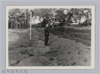 劉榭燻縣長主政時期：體育場興建-31藏品圖，第1張