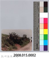 林保仁縣長主政照片：頭前溪剷除高莖作物-1藏品圖，第3張