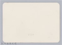 林保仁縣長主政照片：頭前溪剷除高莖作物-4藏品圖，第2張