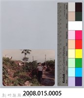 林保仁縣長主政照片：頭前溪剷除高莖作物-4藏品圖，第3張