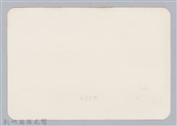 林保仁縣長主政照片：頭前溪剷除高莖作物-5藏品圖，第2張